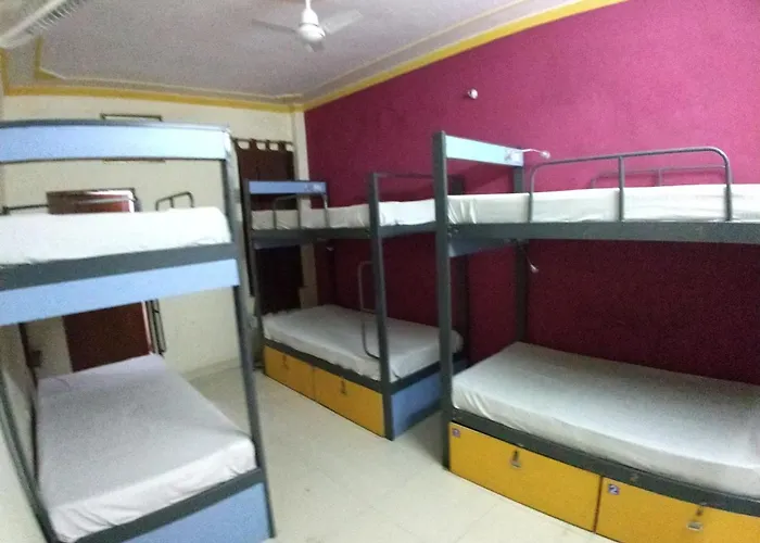 Backpacker Stephels Hostel Jaipur